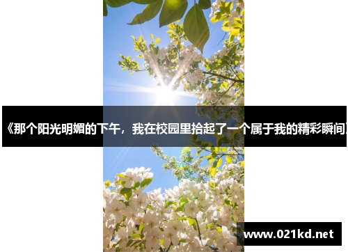 《那个阳光明媚的下午，我在校园里拾起了一个属于我的精彩瞬间》